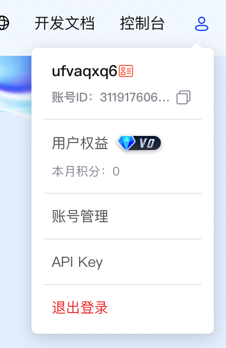 进入API Key页面